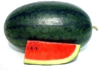 Watermelon Long Black (per pc)